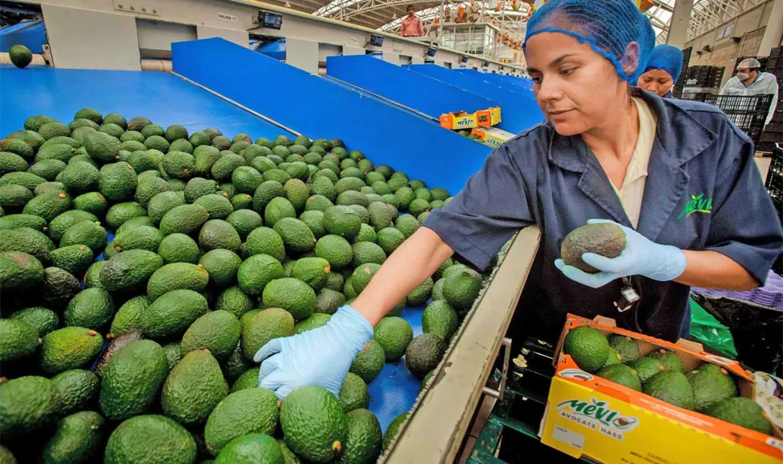 El gobernador enfatizó la urgencia de implementar este proceso. Cortesía