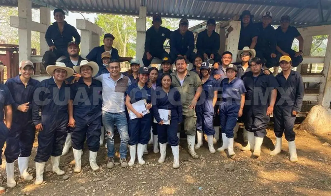Los jóvenes pudieron aprender sobre técnicas de diagnóstico, prevención y control de enfermedades. CP