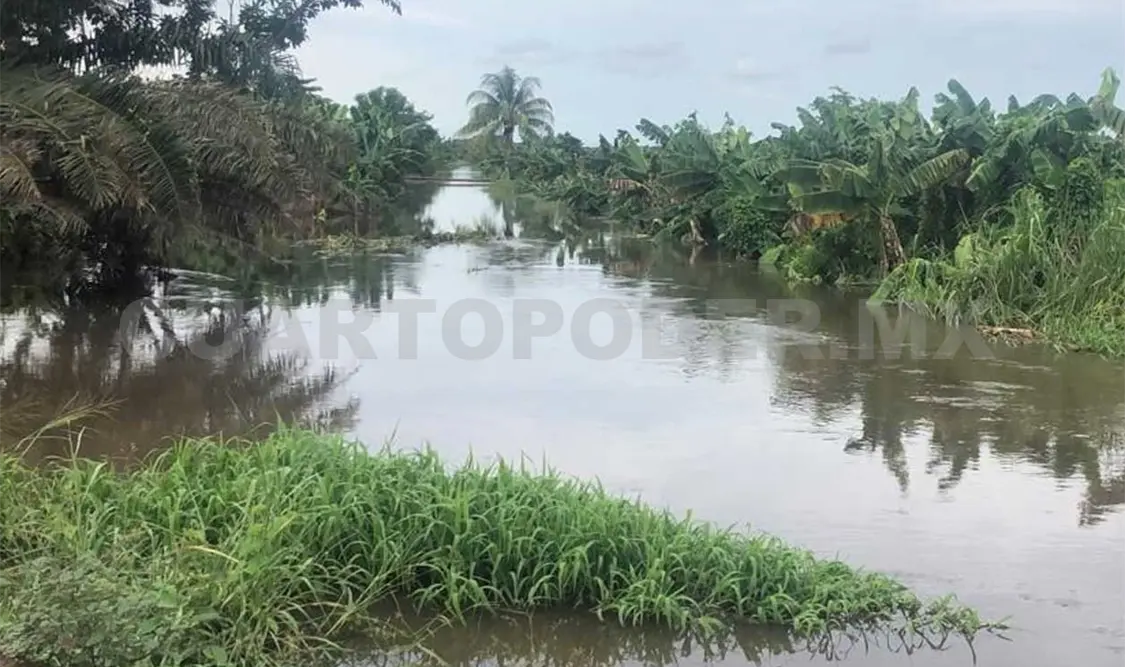 La producción bananera ha resultado muy afectada por las primeras lluvias. Víctor Sánchez/CP