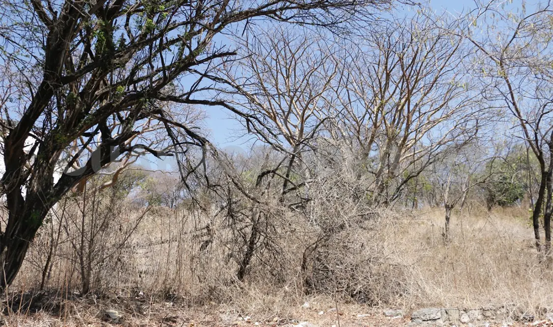 Desertificación y sequía, daños que van en aumento