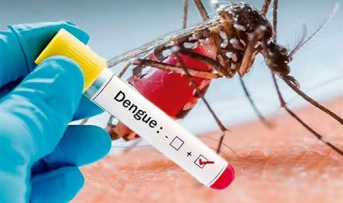Alertan por posible aumento de casos de dengue