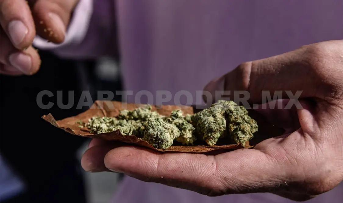 Uso de sustancias nocivas, un daño para la salud