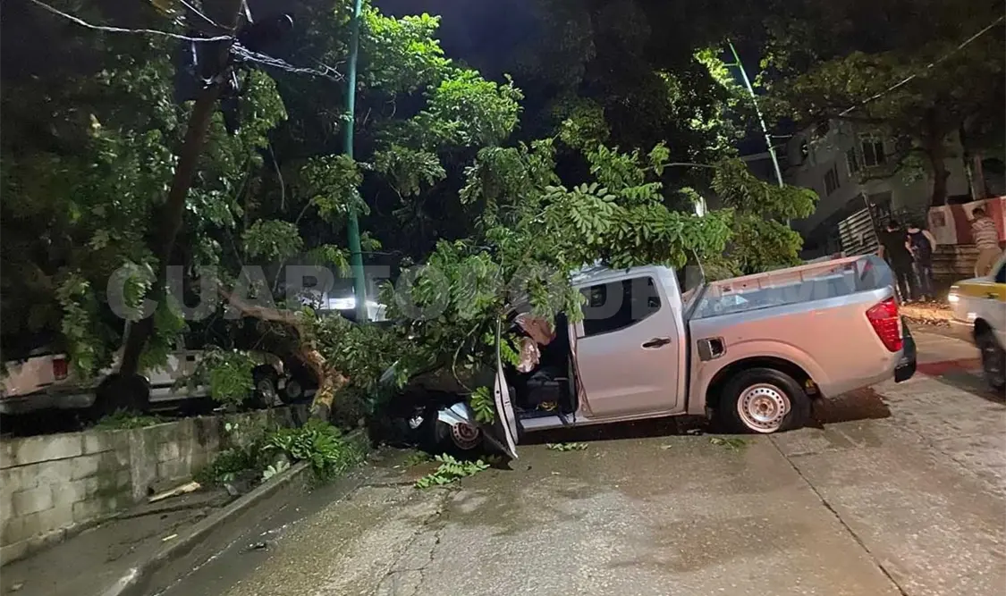 Se estrella camioneta contra un árbol en Vida Mejor