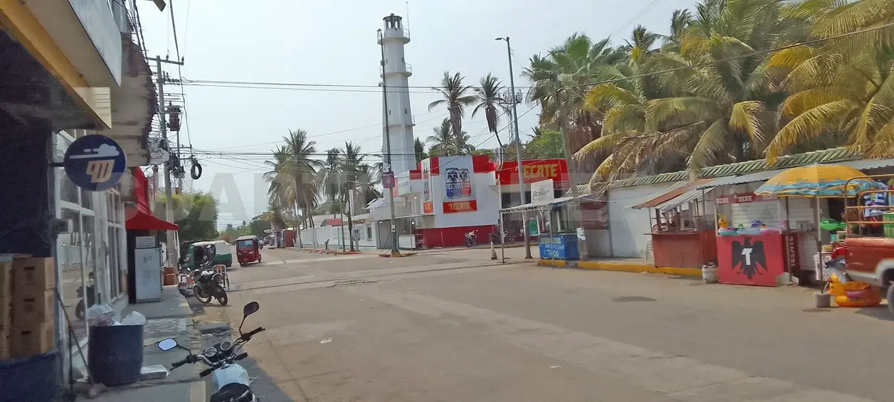 Exigen palaperos fumigación en Puerto Arista
