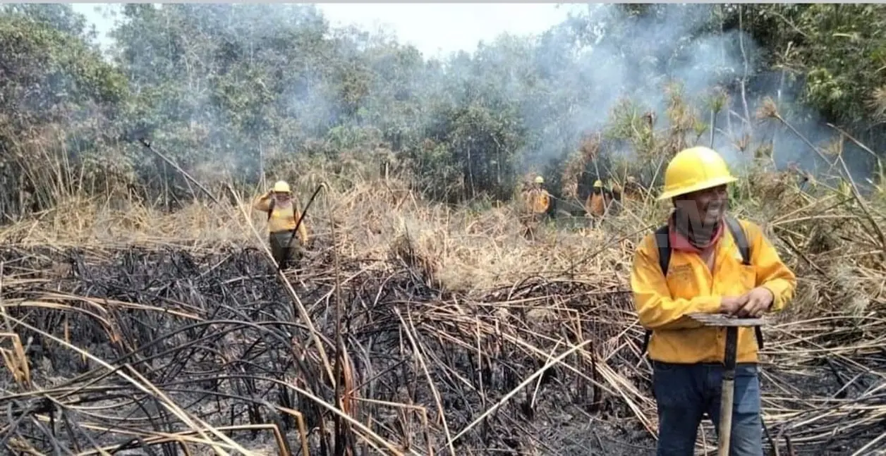 Incendios afectan más hectáreas que en 2023