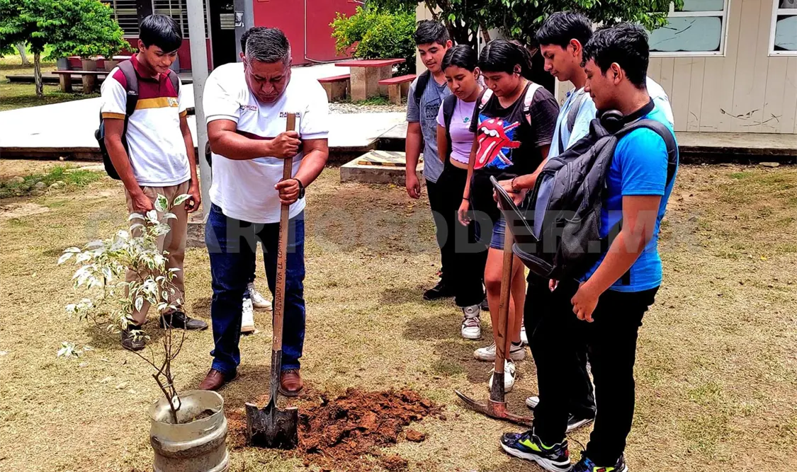 Jóvenes de Acapetahua participan en actividades de reforestación