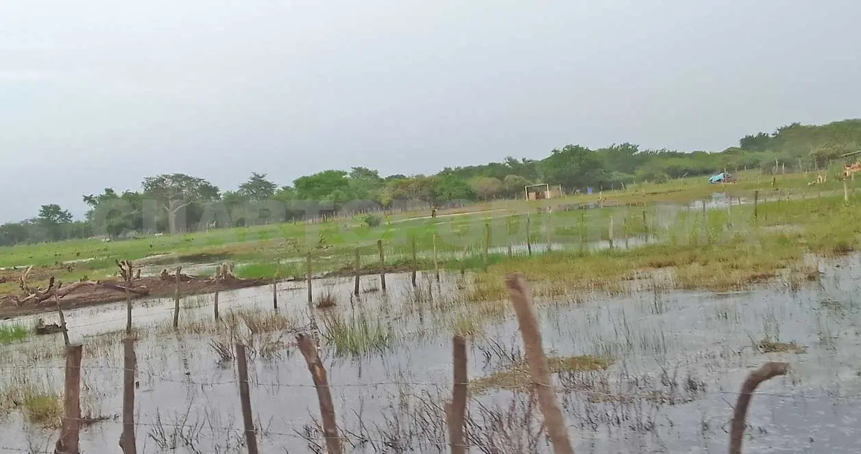 Muchas parcelas lucen anegadas por tanta lluvia. Noel Vázquez / CP