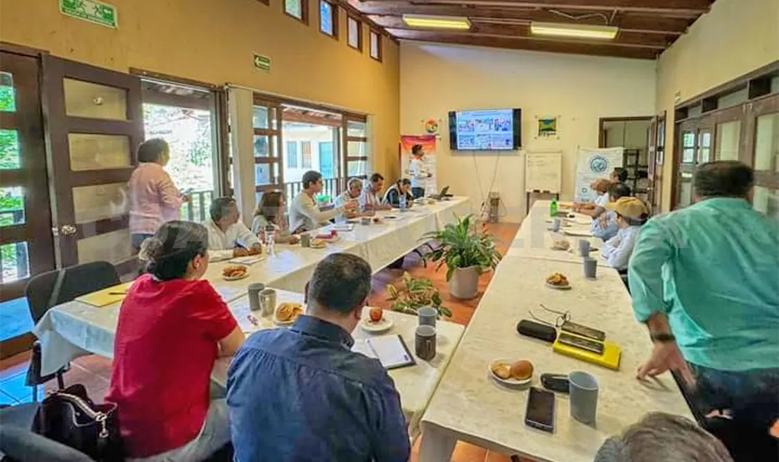 Logran reducir incendios en Cañón del Sumidero