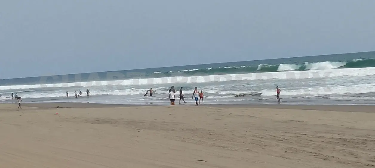 Suspenden caza de tiburones en Tonalá