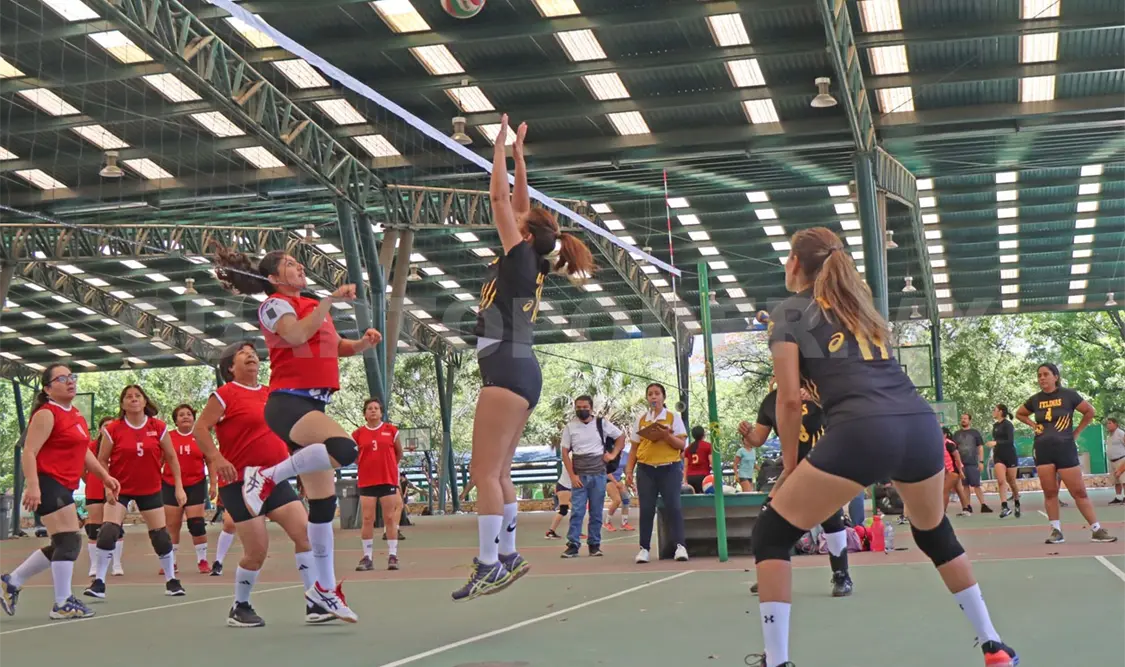 Lechuzas Gana el Cuadrangular