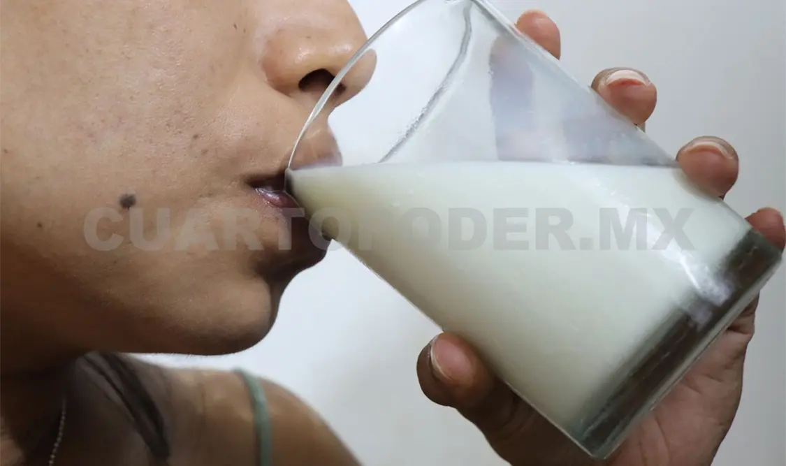 Bebidas vegetales: hay que leer bien lo que contienen