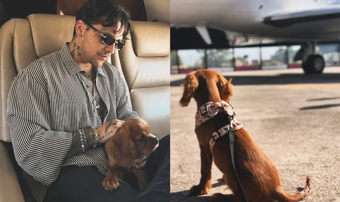 Ángela y Christian presentan a su perrito