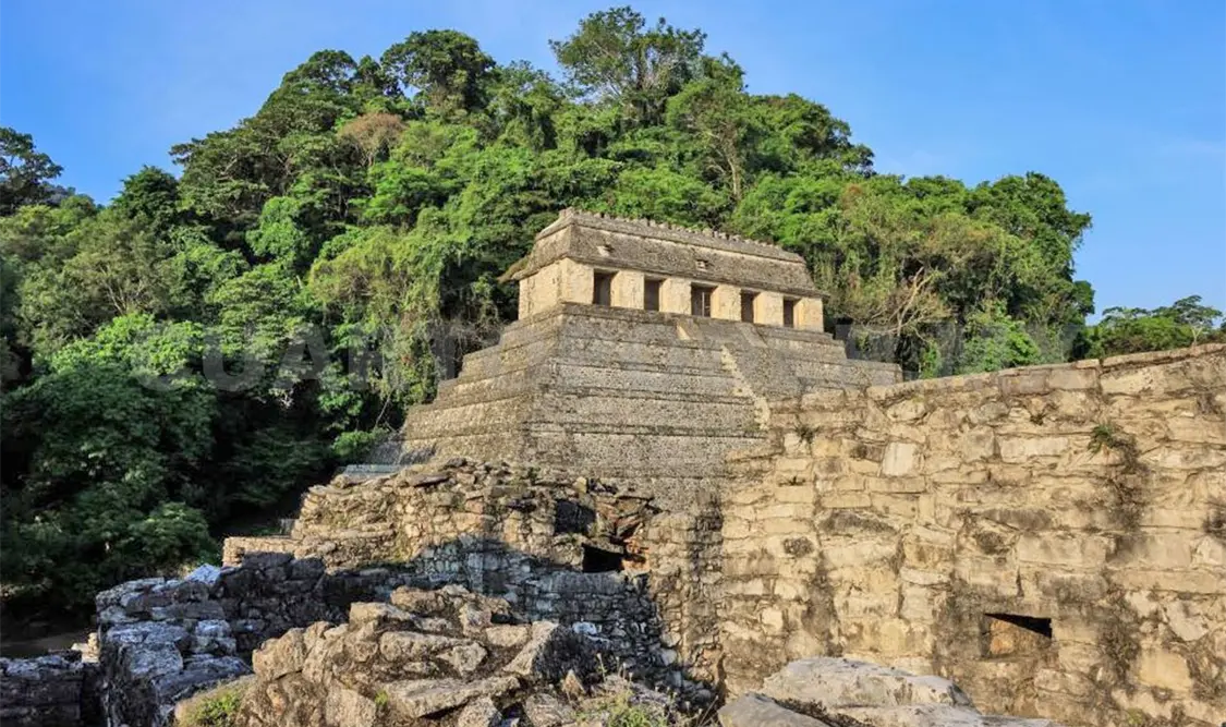 Avanzan obras del Promeza en tramo uno del Tren Maya