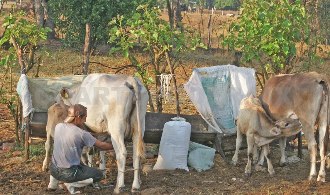 Crece producción en ocho sectores