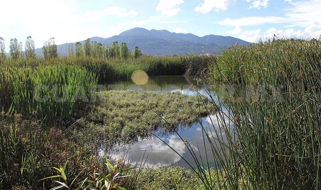 Condenan criminalización contra guardianes