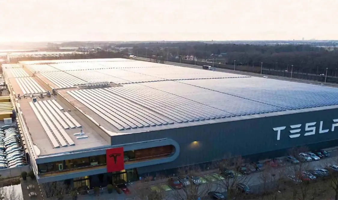 Tesla no ha informado planes: Gobierno