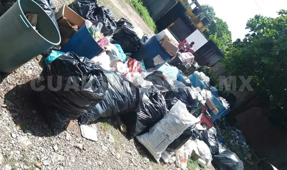 Llevan un año sufriendo por la basura en Reforma