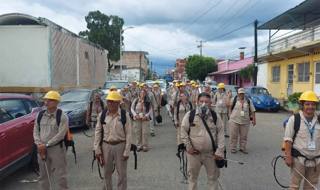 Intensifican combate de vectores en Tapachula