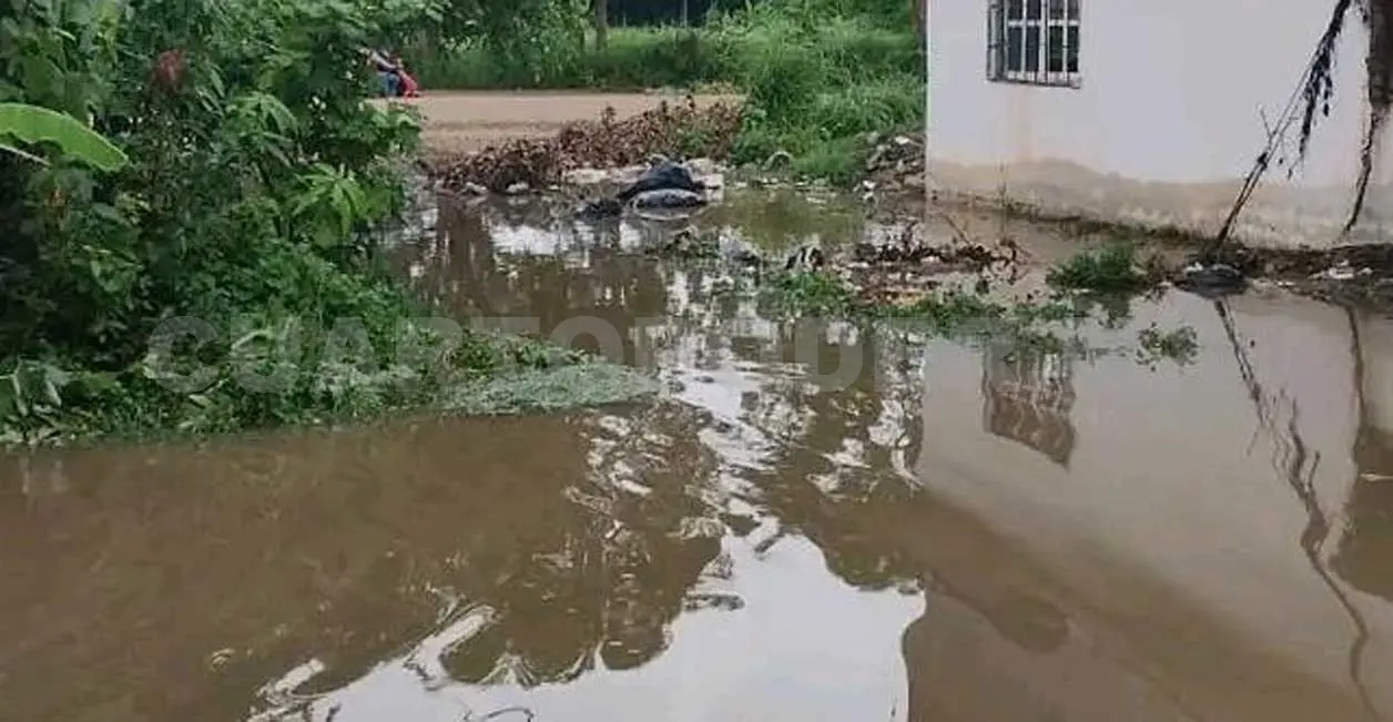 Afectan fuertes lluvias casas en Tonalá