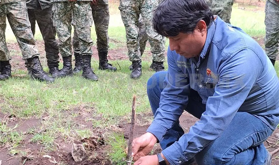 Sembrarán mil árboles en Rancho Nuevo