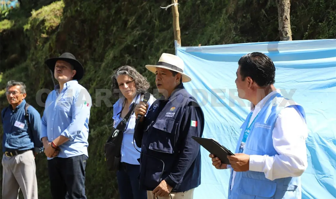 Fomentan producción sostenible en el Tacaná