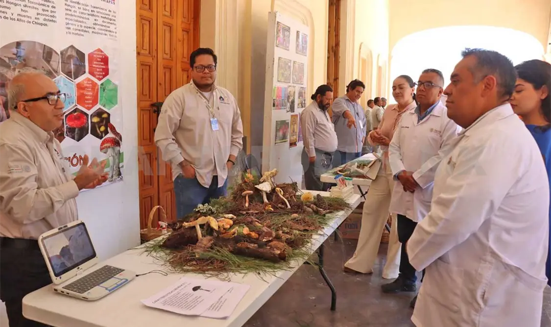 El secretario de Salud estatal, Francisco Mariscal Ochoa, hizo un recorrido por los “stands”, donde se exponen los diferentes tipos de setas. CP