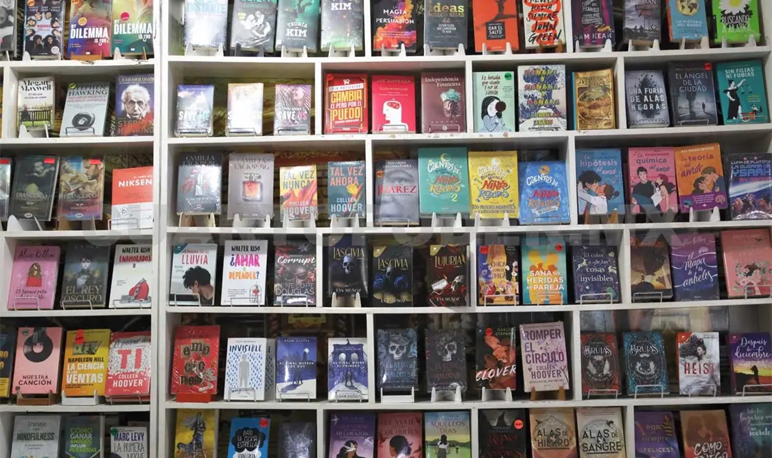 Los libros en su versión impresa o digital son un mundo de posibilidades. Carlos López / CP