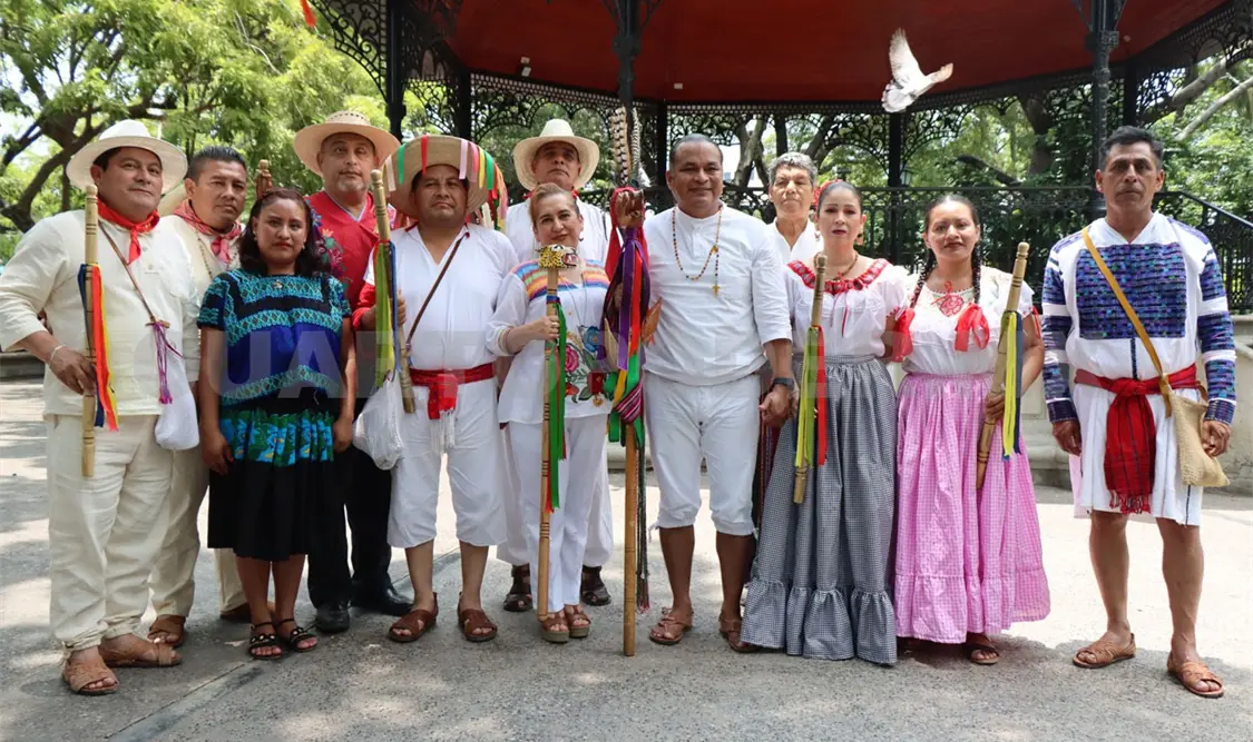 Gobierno indígena representa a los pueblos originarios