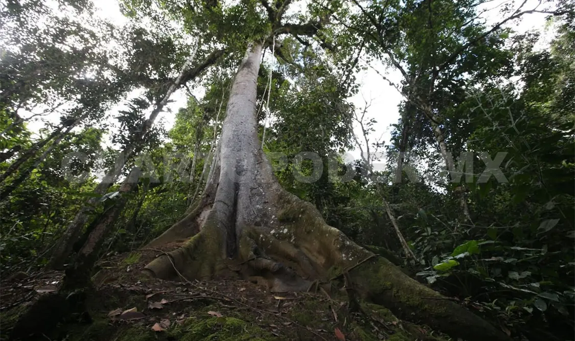 Caída del 60 % para los destinos de naturaleza
