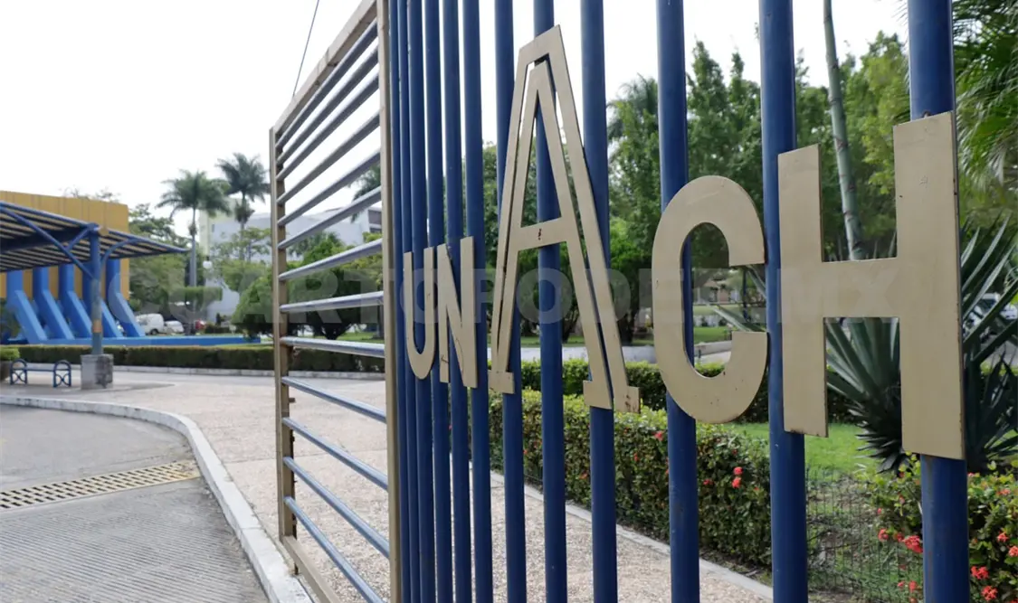 Convocan a inscribirse a talleres artísticos