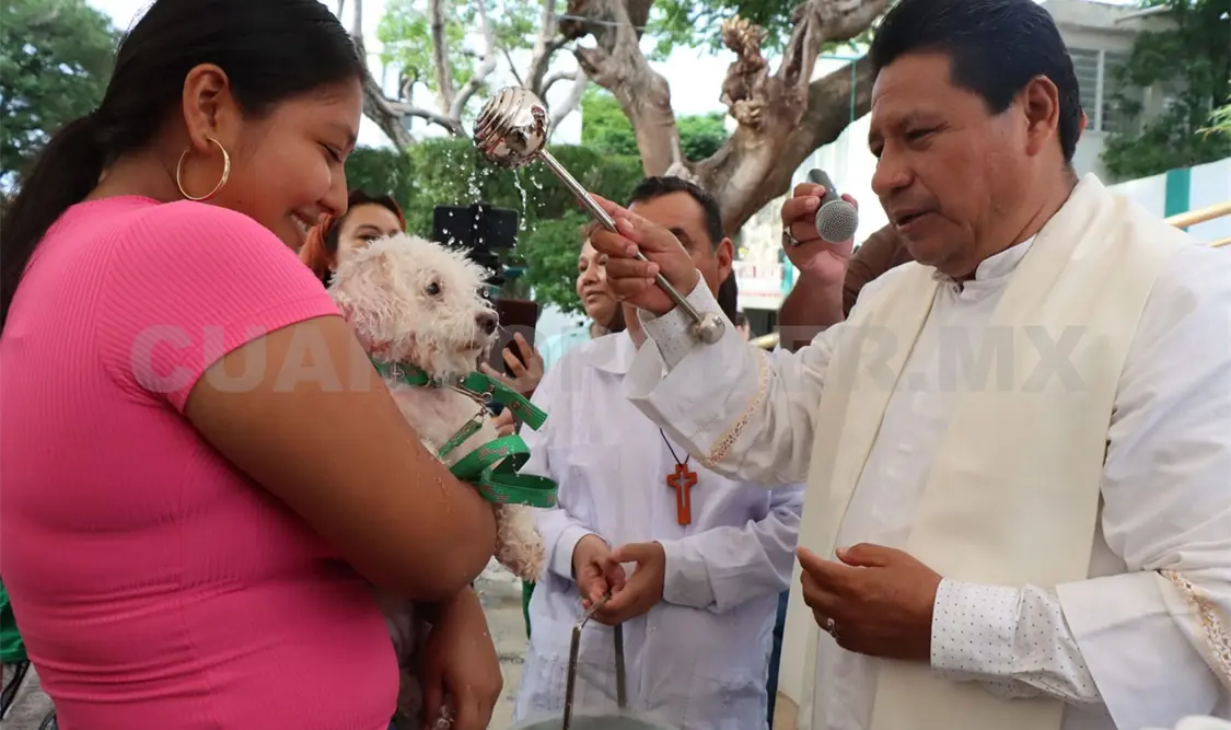 Bendicen mascotas en novenario de San Roque