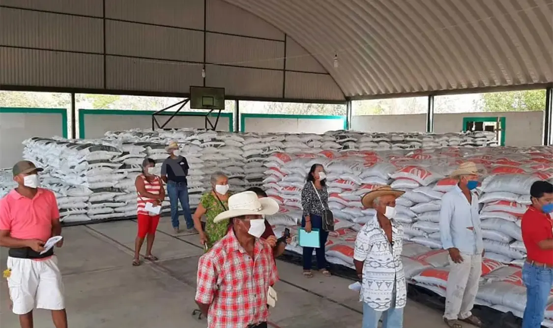 Avanza entrega de fertilizantes