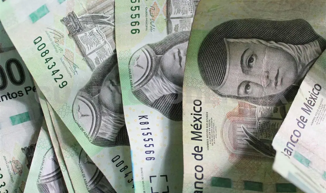 Una propuesta más sensible del sistema de administración permite acercarse con mayor confianza. Diego Pérez / CP