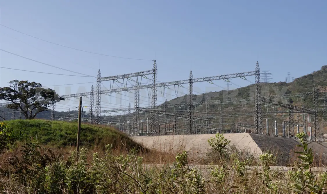 Perfiles científicos serán claves en la transición