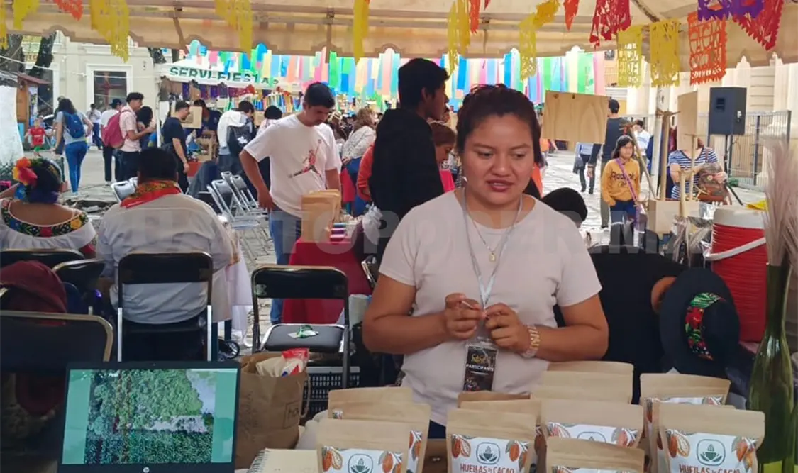 Realizan 6º Festival del Cacao en San Cristóbal