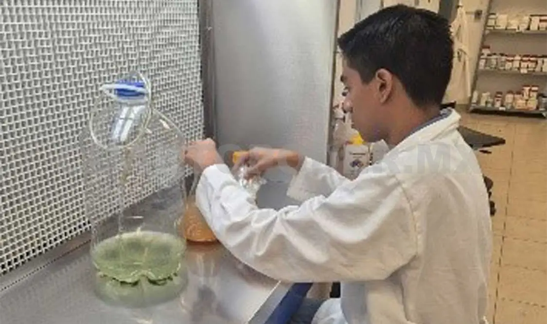 El estudiante dijo que pudo adquirir nuevos conocimientos y perspectivas sobre su carrera. CP