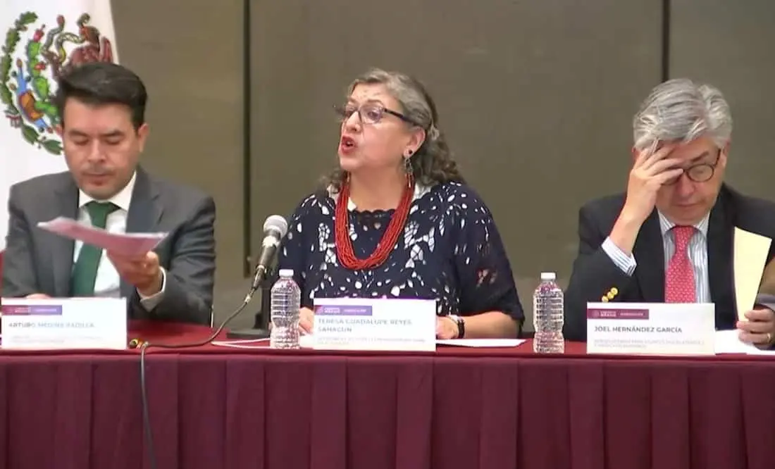 Teresa Guadalupe Reyes Sahagún, titular de la Comisión Nacional de Búsqueda (CNB). Cortesía