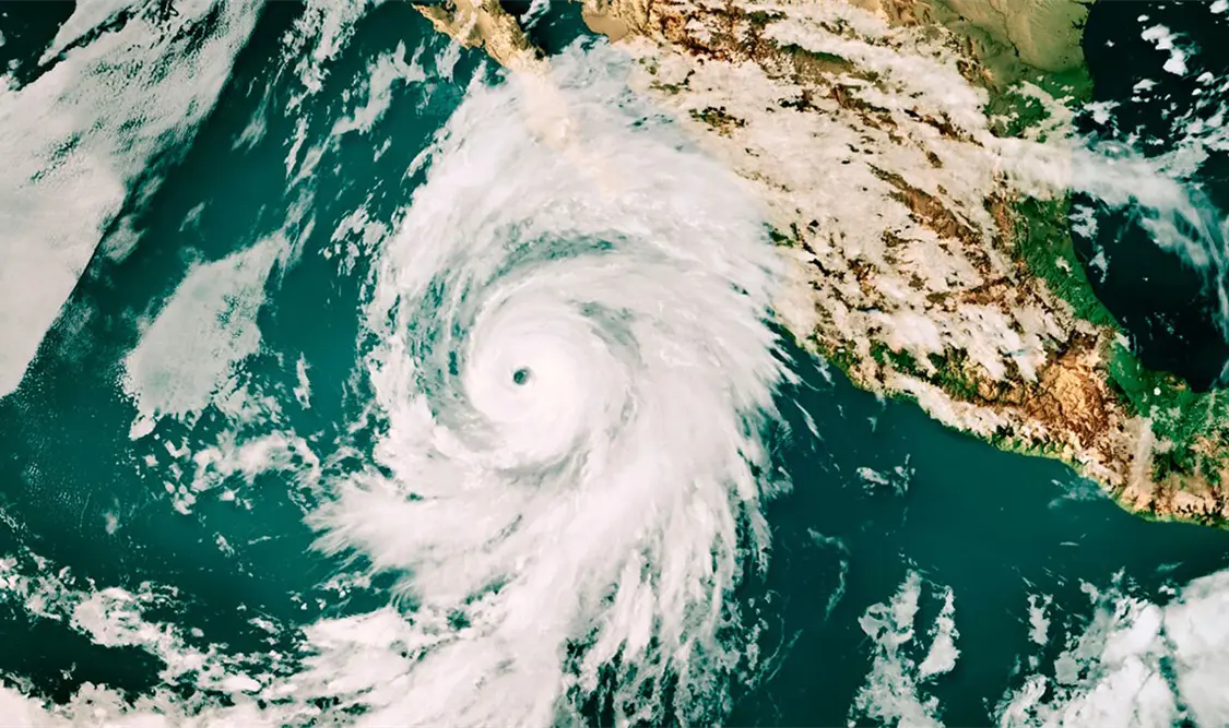 Advierten por Ileana: ingresará a BCS hoy por la tarde