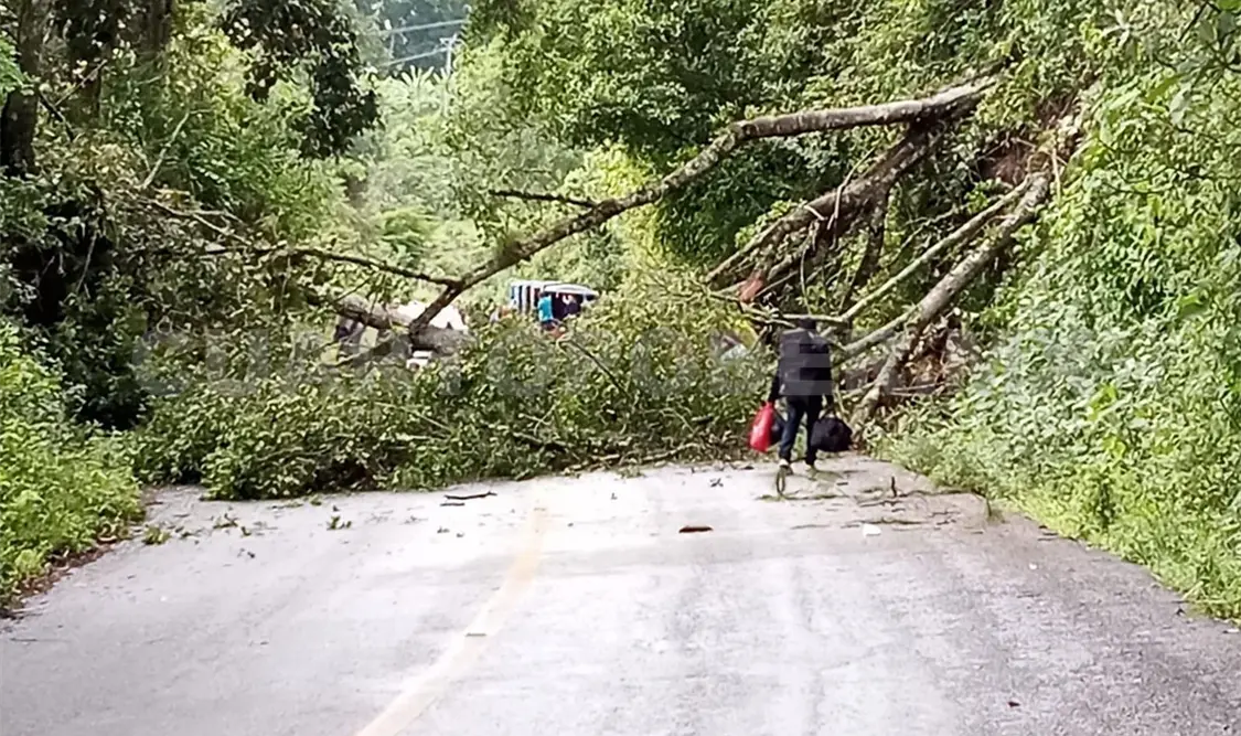 Bloqueos generan pérdidas millonarias