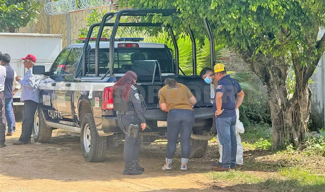 Anciano toma una fatal decisión: se suicida ahorcándose