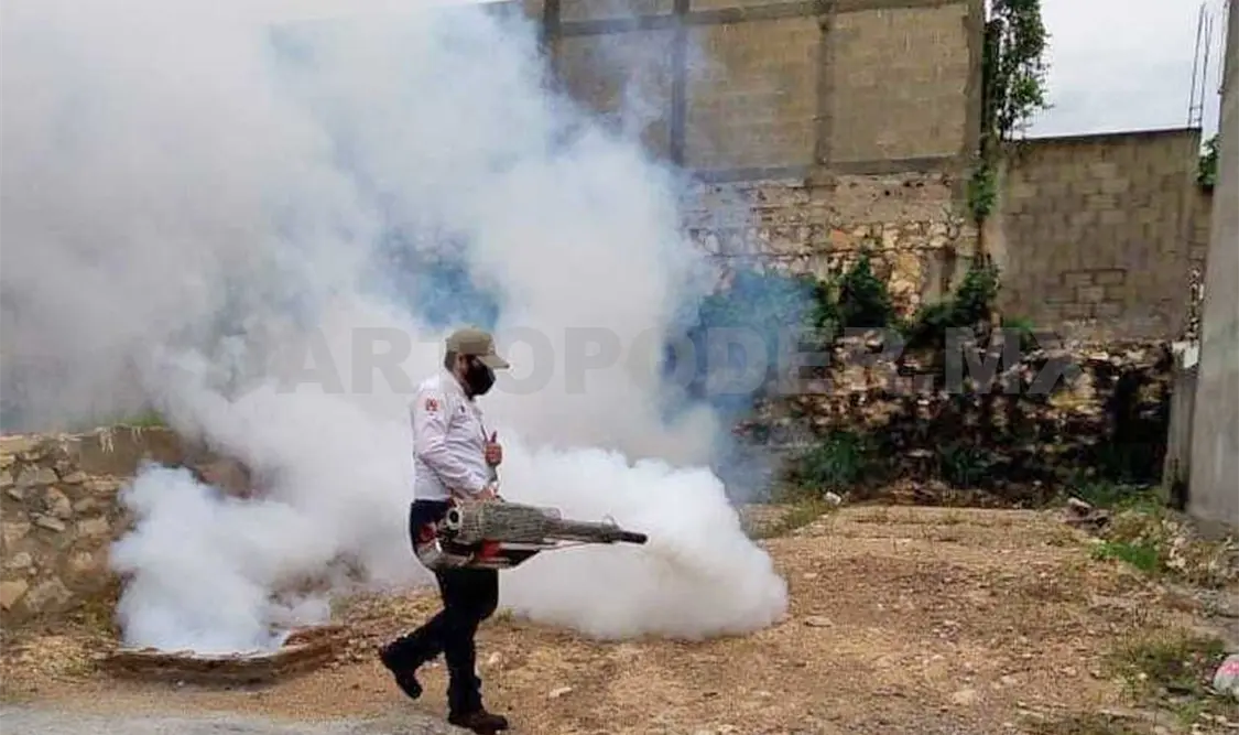 Los habitantes urgieron una fumigación. Cortesía