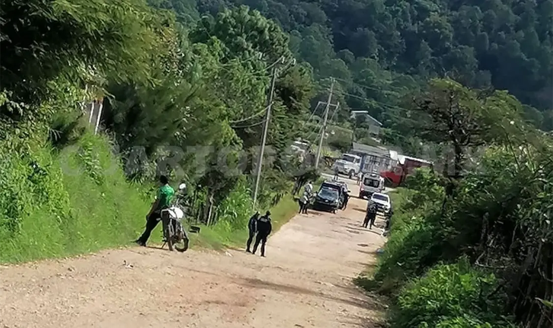 Encuentran cuerpos a un costado de camino