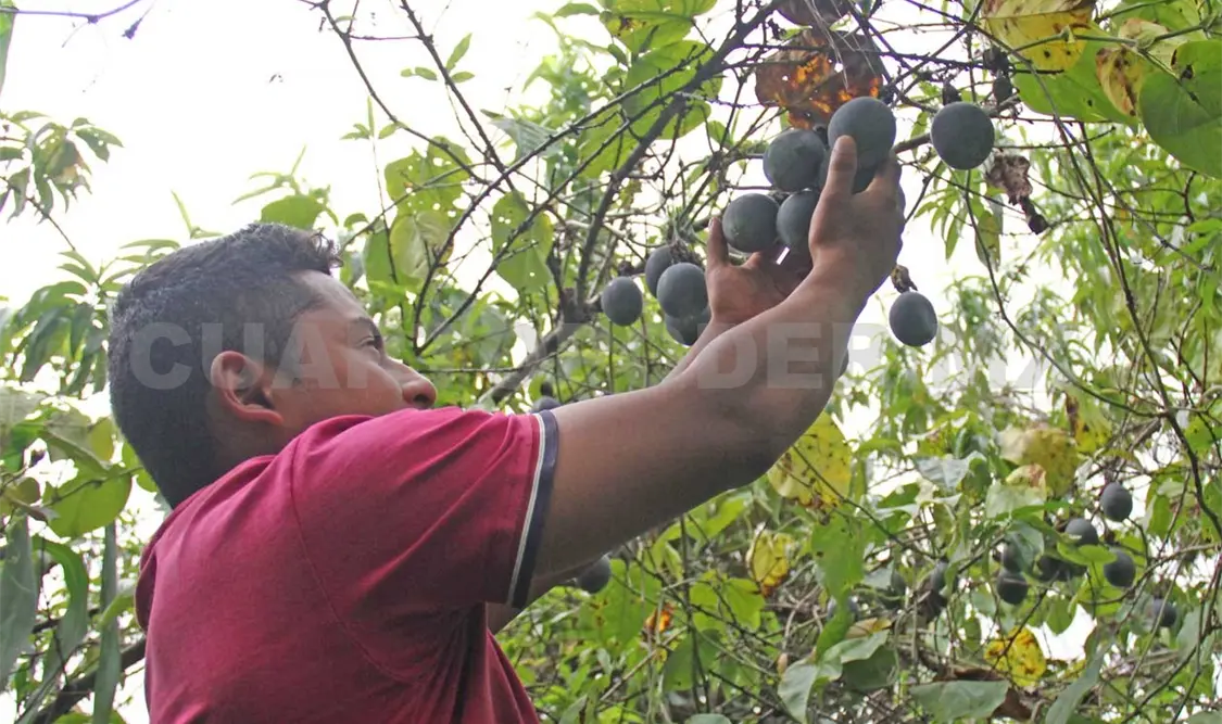 La afiliación no tiene ningún costo para este sector. Diego Pérez / CP