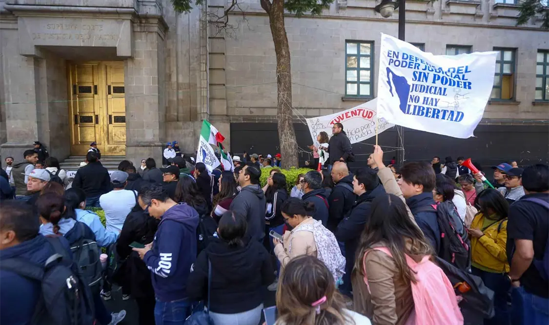 PJF: Determinación ante análisis, una luz en el camino