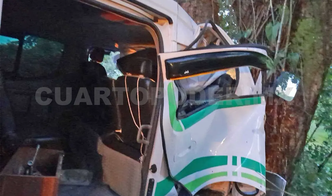 Tragedia en la carretera: choca en un árbol y se mata