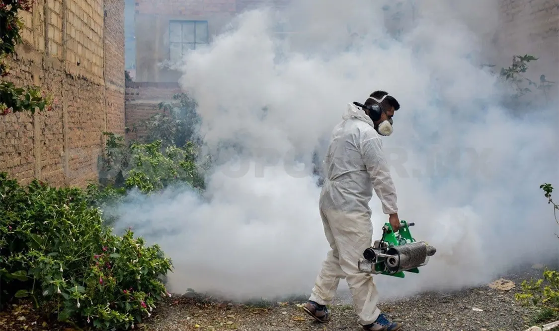 Ocho defunciones por dengue: reporte