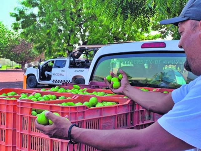 Plan de seguridad buscará reducir homicidios Plan de seguridad buscará reducir homicidios