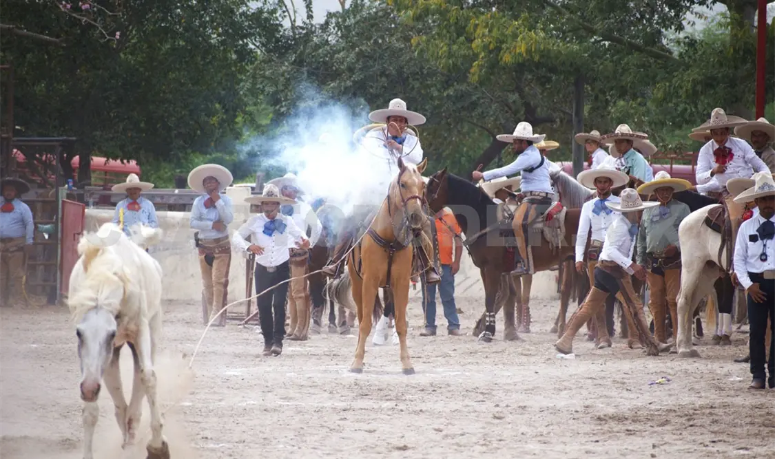 Rancho El Fénix se queda con el título