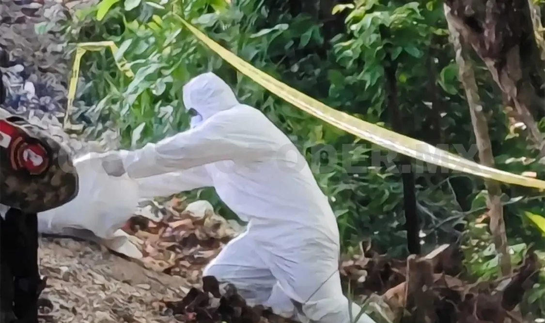Se movilizan autoridades por hallazgo de cuerpos