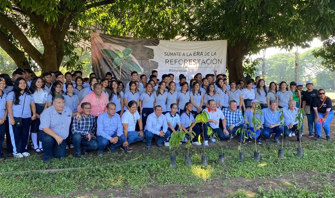 Intensifican la siembra de árboles en Huixtla